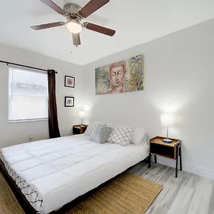 Modern Bayshore 50 Tampa
