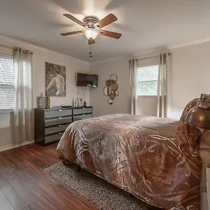 Golden Greek Getaway Chic House In Heart Of Tampa