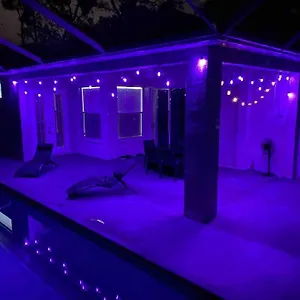 Hidden Gem In The Heart Of The City!! Tampa