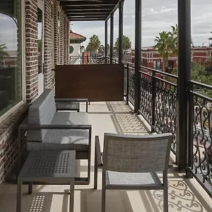 Haya Tampa